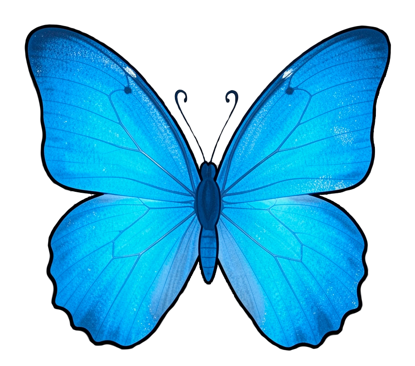 🦋